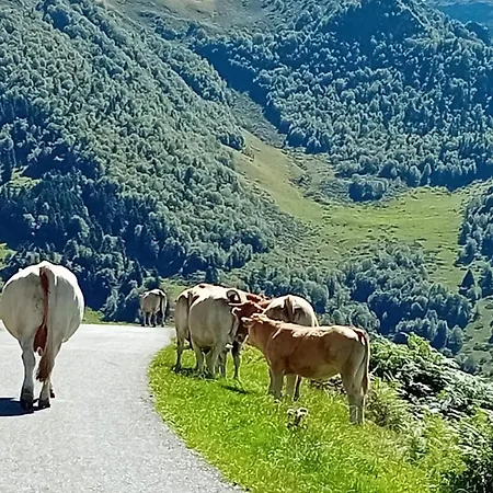 T2 Saint-lary-soulan- Aure דירה Vielle-Aure
