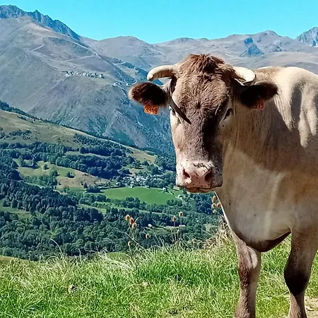T2 Saint-lary-soulan- Aure * Vielle-Aure
